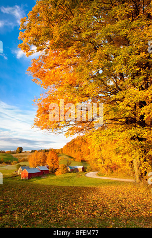 Sonnenaufgang im Herbst auf dem Jenne-Bauernhof in der Nähe von South Woodstock Vermont USA Stockfoto