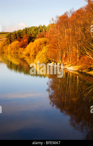 Herbst am Thruscross Stausee Blubberhouses Yorkshire England Stockfoto