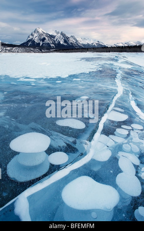 Abraham-See im Winter, Kootenay Plains, Bighorn Wildland, Alberta, Kanada Stockfoto