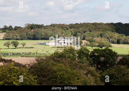 Bauernhof inmitten von Ackerland und Felder Stockfoto