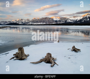 Kananaskis Untersee, Opal Range, Kananaskis Seen, Kananaskis Country, Alberta, Kanada Stockfoto