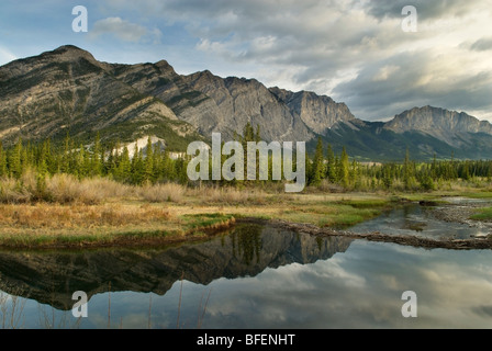 Montieren Sie Yamnuska, viele Federn, Bow Valley Provincial Park, Kananaskis Country, Alberta, Kanada Stockfoto