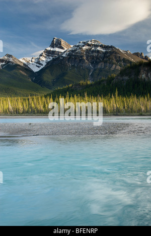 North Saskatchewan River, Kootenay Plains, Bighorn Wildland, Alberta, Kanada Stockfoto