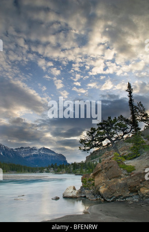 North Saskatchewan River, Kootenay Plains, Bighorn Wildland, Alberta, Kanada Stockfoto