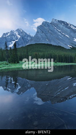 Mount Rae, Kananaskis Country, Elbow Lake, Alberta, Kanada Stockfoto