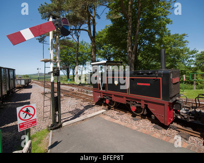 die Lynton und Barnstaple schmale Lehre Eisenbahn Stockfoto