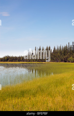 Deadman See, Tetlin National Wildlife Refuge, Alaska, Vereinigte Staaten von Amerika Stockfoto