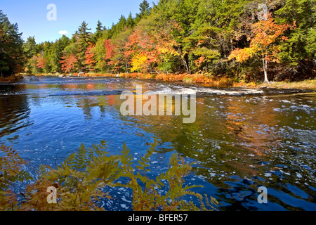 Mersey River, Kejimkujik Nationalpark, Nova Scotia, Kanada Stockfoto