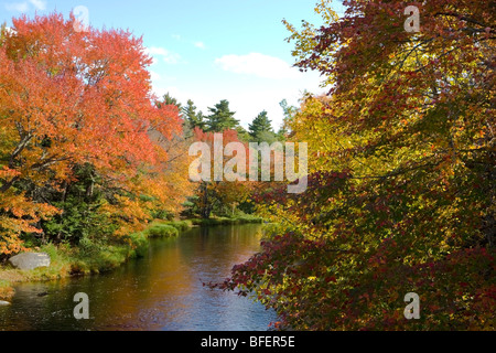 Mersey River, Kejimkujik Nationalpark, Nova Scotia, Kanada Stockfoto