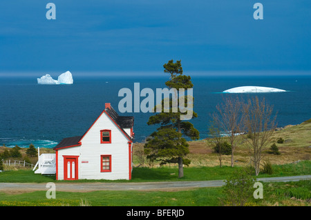 Küsten Heim und Iceberg, Neufundland, Kanada Stockfoto