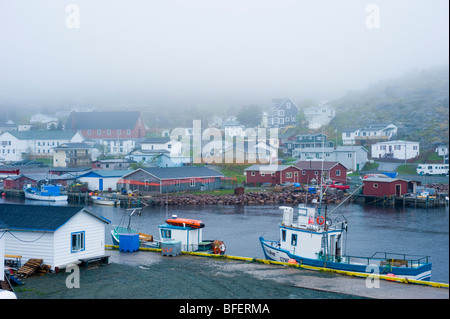 Kleiner Hafen, Neufundland, Kanada Stockfoto