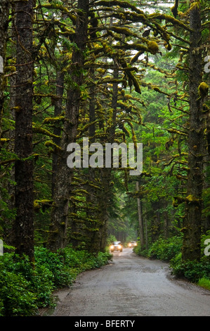 Auto auf der Straße zu Schlepp Hill, Naikoon Provincial Park, Queen Charlotte Islands, British Columbia, Kanada Stockfoto