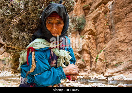 Ältere Frau mit einer schweren Last in Todra Schlucht in Marokko Stockfoto