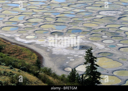 Gefleckte See in der Nähe von Osoyoos, Britisch-Kolumbien, Kanada Stockfoto