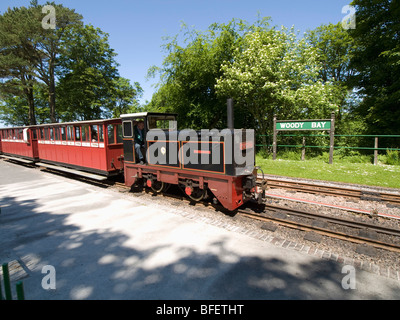 die Lynton und Barnstaple schmale Lehre Eisenbahn Stockfoto