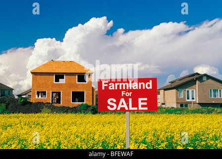 Ackerland für Verkauf Zeichen in einem blühenden Raps Feld mit Wohnsiedlung im Hintergrund, Winnipeg, Manitoba, Kanada Stockfoto