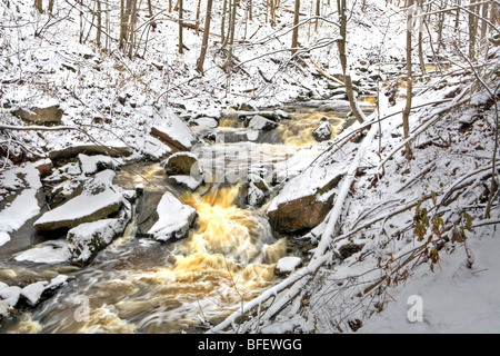 Schleifstein Bach im Winter, Bruce Trail, Niagara Escarpment, Hamilton, Ontario, Kanada Stockfoto