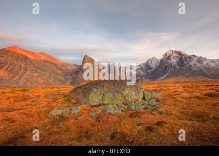 Großen Felsbrocken oder sprunghafter im Tombstone Tal in Tombstone Territorial Park, Yukon. Stockfoto