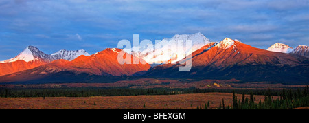 Alpenglühen bei Sonnenuntergang am Mount Itsi entlang der North Canol Road, Yukon. Stockfoto