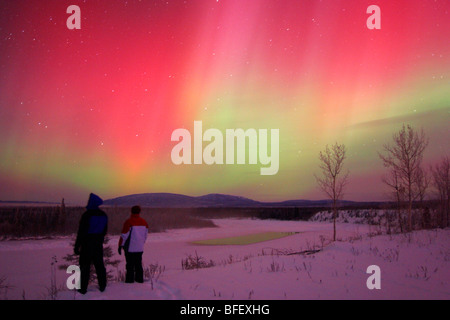 Menschen Sie beobachten Aurora Borealis oder das Nordlicht, Yukon. Stockfoto