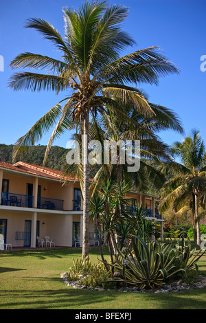 Karibik Resort Gebäude, Palmen und Agaven an der Spitze Stockfoto