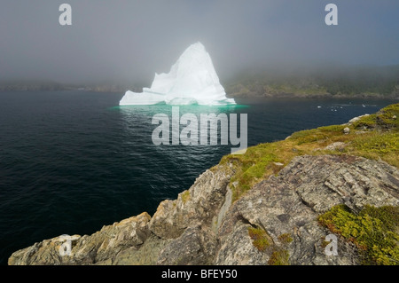 Eisberg bei steigender Nebel schwebt in Trinity Bay vor felsigen Küste Bonavista Halbinsel von östlichen Neufundland-Neufundland und Labr