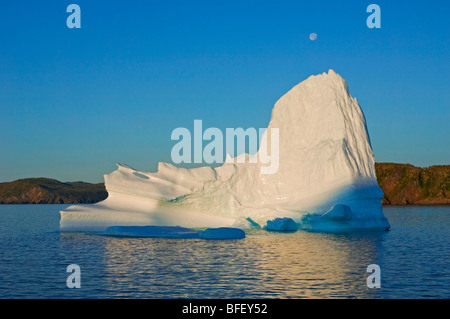 Eisberg im Morgengrauen schwebt in Trinity Bay vor der Bonavista Halbinsel des östlichen Neufundland, Neufundland und Labrador, Kanada.