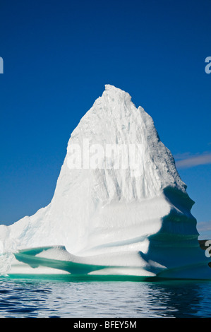 Eisberg schwimmt in Trinity Bay vor der Bonavista Halbinsel des östlichen Neufundland, Neufundland und Labrador, Kanada. Stockfoto