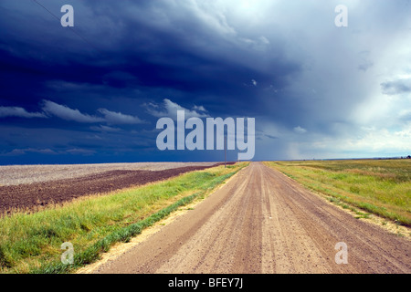 Gewitter über Straße zum Crowfoot Ferry, Alberta, Kanada, Wolke, Wetter Stockfoto