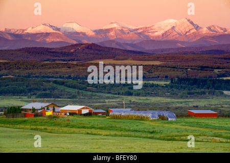 Ausläufern Ranch in den frühen Morgenstunden Licht, Rocky Mountains, Gebirge, Landwirtschaft, Cochrane, Alberta, Kanada Stockfoto