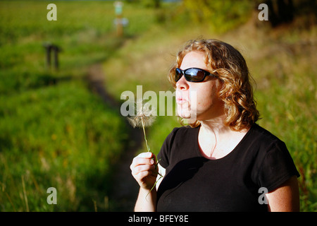 Frau bläst die Samen der westlichen Schwarzwurzeln oder Goatsbeard auf einer Wiese (Tragopogon Dubius), an einem warmen Nachmittag. Stockfoto