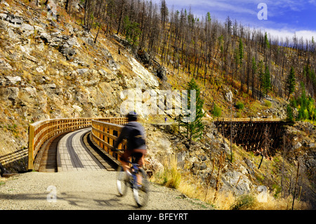 Einzelne Radfahrer am Myra Canyon Trestle #14 auf alten Kettle Valley Railway in der Nähe von Kelowna BC. Stockfoto