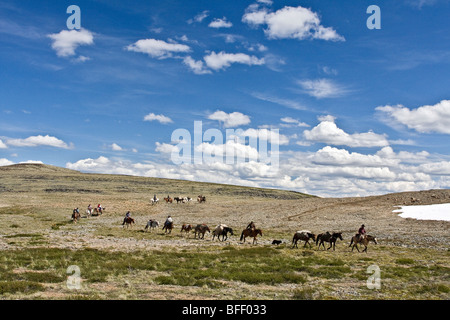 Pack-Zug durchfährt der Itcha Mountains in British Columbia Kanada Stockfoto