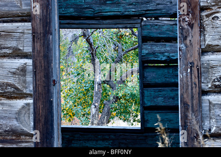 Verlassene Ranch Blockhaus am Farwell Canyon British Columbia Kanada Stockfoto