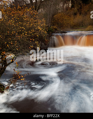 Wainwath fällt in der Nähe von Keld, Swaledale, North Yorkshire Stockfoto