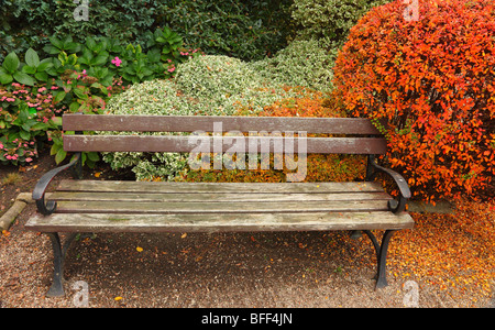 Breslau-alte Parkbank und Herbst rot Strauch Botanischer Garten Polen Stockfoto