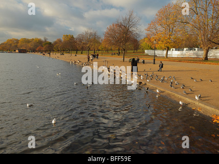 Die Serpentine. Hyde Park, London, England, UK. Stockfoto