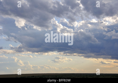 Ländlichen Texas (Panhandle) vor Gewitter Stockfoto