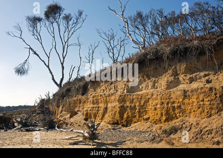 Auswirkungen der Küstenerosion auf sandigen Klippen Stockfoto