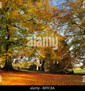 MINSTER LOVELL, OXFORDSHIRE, Großbritannien - O3. NOVEMBER 2009: Blick auf St. Kenelm's Church und die zerstörte Minster Lovell Hall im Herbst Stockfoto