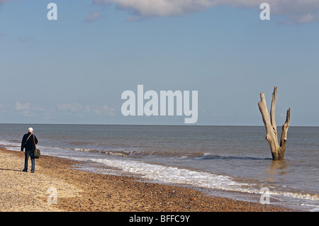 Auswirkungen der kostalen Erosion, Suffolk, UK. Stockfoto