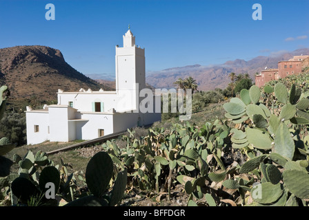 Moschee in emintizght, einem Berberdorf im Anti Atlas, Marokko Stockfoto