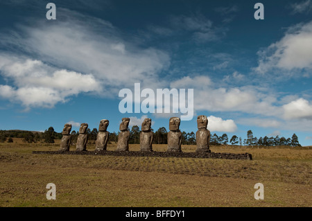 Osterinsel-Moai-Statuen am Ahu Akivi Standort. Stockfoto