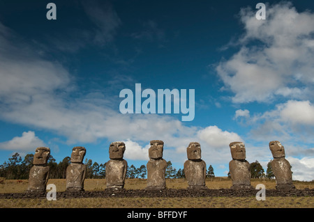 Osterinsel-Moai-Statuen am Ahu Akivi Standort. Stockfoto