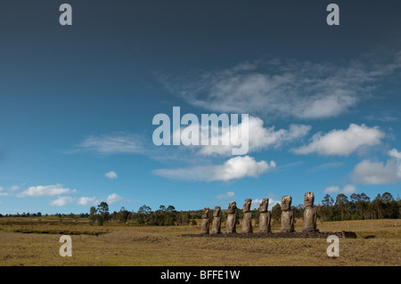 Osterinsel-Moai-Statuen am Ahu Akivi Standort. Stockfoto