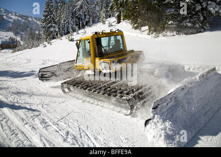 Pistenraupe zieht eine Spur Groomer für Nordic oder Langlaufloipen am Mount Bachelor Stockfoto
