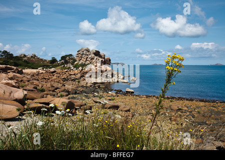 Rosa Granit Küste (Côte de Granit Rose), Côte d ' Armor, Bretagne, Frankreich Stockfoto