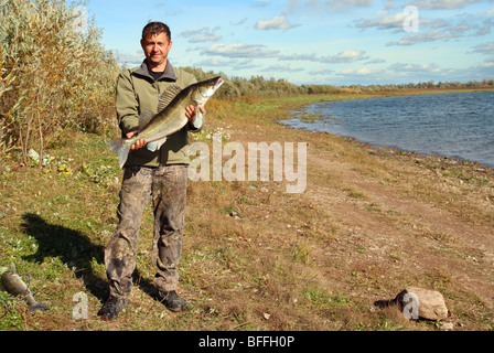 Mann an Küste Angeln mit großen Zander Fischen Stockfoto