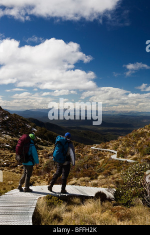 zwei Wanderer auf Hump Ridge Track, Neuseeland Stockfoto