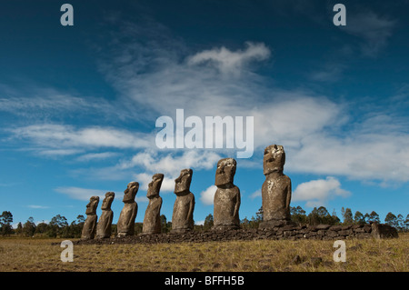 Osterinsel-Moai-Statuen am Ahu Akivi Standort. Stockfoto